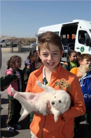 Hayvan Barınağına Miniklerden Ziyaret