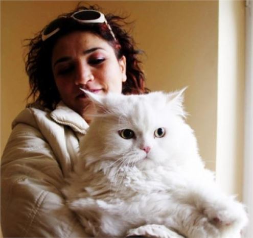 (özel Haber) Kedinin Tahliye Kararını Yargıtay Bozdu