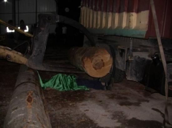 Artvin'de Tomruk Kazası: 1 Ölü 1 Yaralı