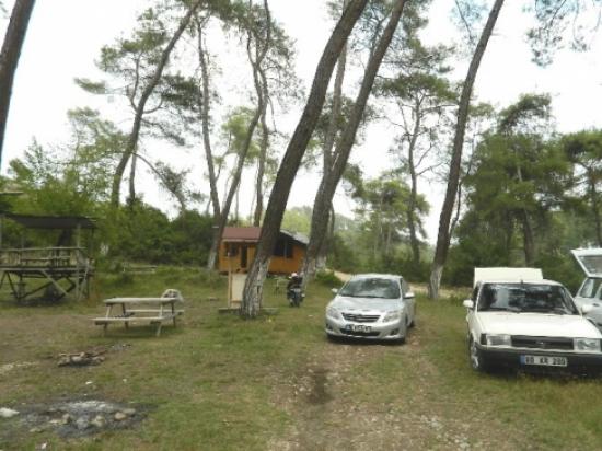 Kokar Kaplıcası İlgi Bekliyor