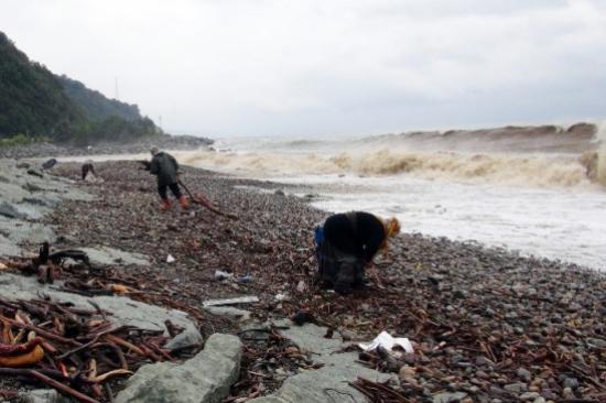 Dalgalı Denizde Ölümle Burun Buruna Odun Topluyorlar