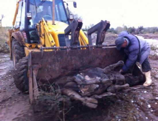 Sungurlu'da Sel Felaketi