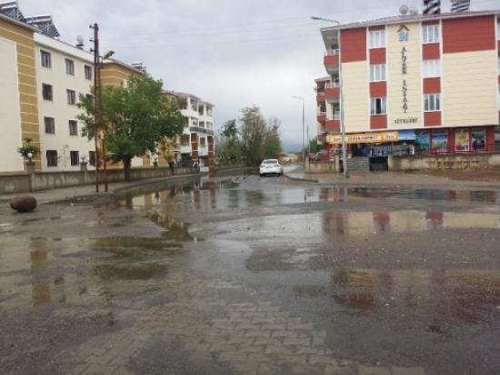 Bingöl'de 70 Yeri Su Bastı