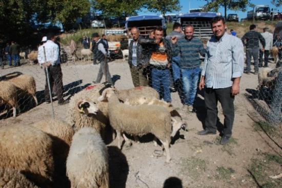 Kurbanlıklar Alıcı Bekliyor