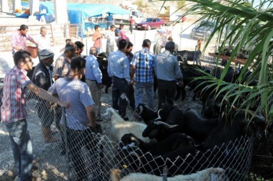 Erdemli Belediyesi'nde Bayram Hazırlıkları