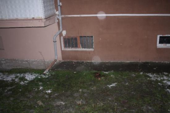 Erzincan'da 4. Kattan Düşen Kadın Hayatını Kaybetti