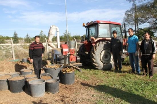 Dökülen Yapraklar Enerjiye Dönüşüyor