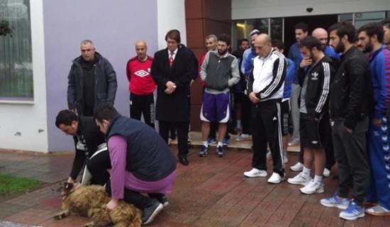 Orduspor Kurban Kesti