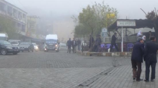 Kulp'ta Yoğun Sis Hayatı Olumsuz Etkiledi