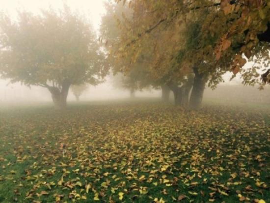 'sis' Tut İlçesinde Kartpostallık Görüntü Ortaya Çıkardı