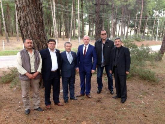 Mhp Tarihi Ağacın Koruma Altına Alınmasını İstedi