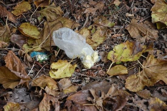 Mezarlığa Yakışmayan Görüntüler