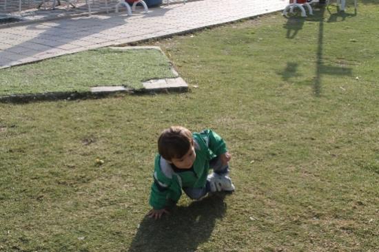 Tek Eli Üzerinde Emekleyen Bebek Görenleri Şaşırtıyor