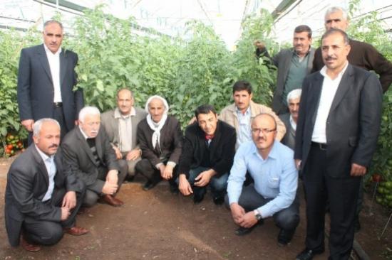 Güneydoğulu Üreticiler Antalya'da Seraları Gezdi