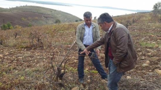 Çiftçilere Gübreleme Ve Sulama Anlatıldı