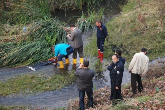 Edremit'te Kimliği Belirsiz Ceset Bulundu