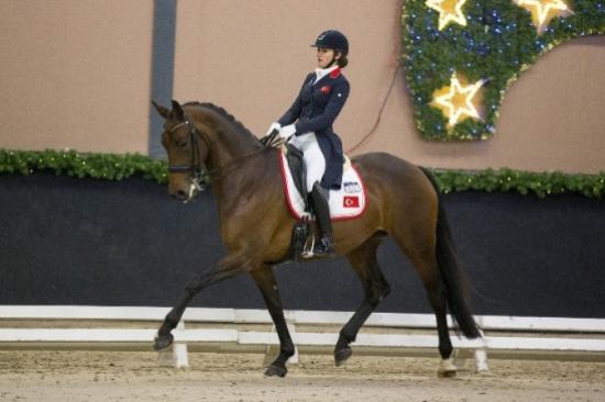 At Terbiyesinde Türkiye'nin Üzerine Yok
