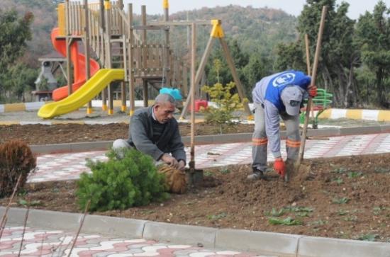 Bozüyük'e 5 Günde Yaklaşık 2 Bin 500 Fidan Dikildi