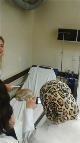 (özel Haber) Acil Servis Muayene Sedyesinde 'kedi' Tartışması