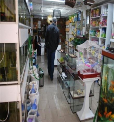 Pet Shop Denetimleri