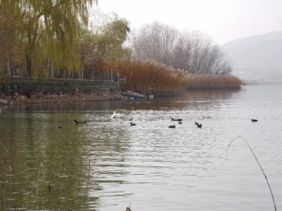 Gölbaşı Tabiat Parkı Sonbaharı Yaşıyor