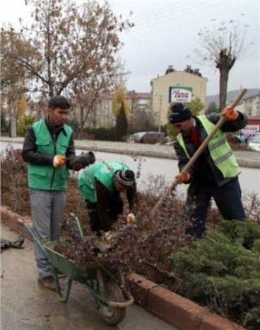 Elazığ Kış Bitkileri İle Güzelleşecek
