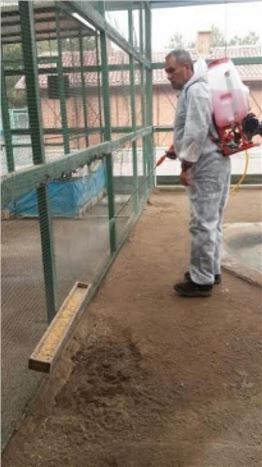 Kedi Bakım Evi Dezenfekte Edildi