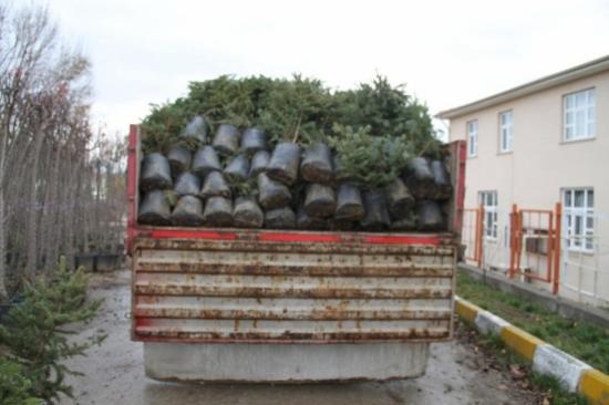 Erzincan'da Kişi Başına 25 Metrekarelik Yeşil Alan Düşüyor