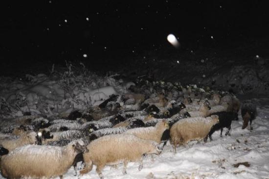Artvin'de Yoğun Kar Yağışı