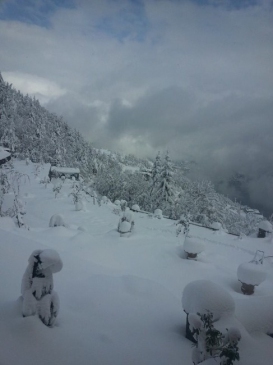 Artvin'de Kar Yağışı