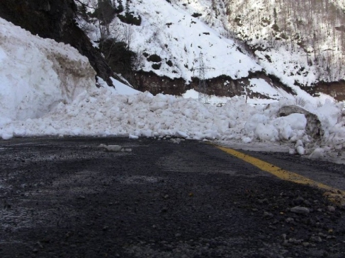 Suya DÜşen Karacayı Kurtarmaya Giderken Az Kalsın Çığ Altında Kalıyorlardı