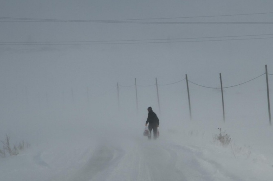 Tipi Nedeniyle Ardahan'da Ulaşım Durdu