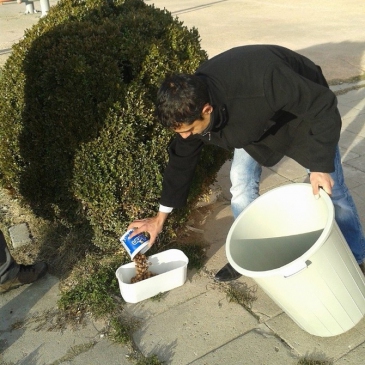 Kırklareli 'de Sokak Hayvanları Unutulmadı