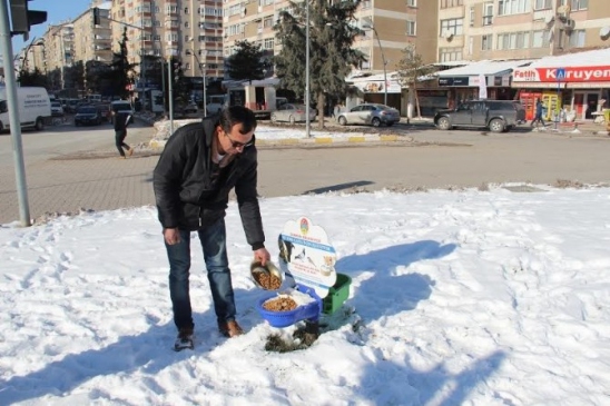 Kar Sokak Hayvanlarını Vurmayacak
