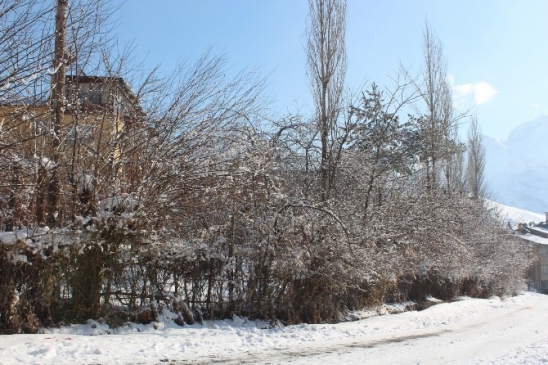 Hakkari'de Soğuk Hava Ve Don