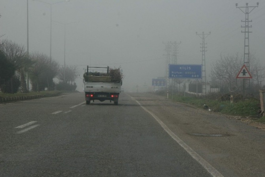 Kilis'te Yoğun Sis Etkili Oldu