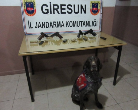 Silah Kaçakcılarını Jandarma Köpeği Yakalattı