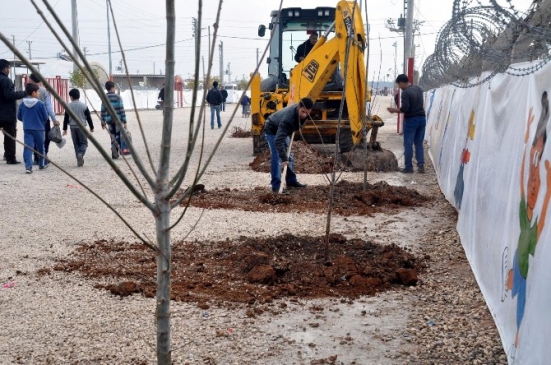 Çadır Kent Yeşillendiriliyor