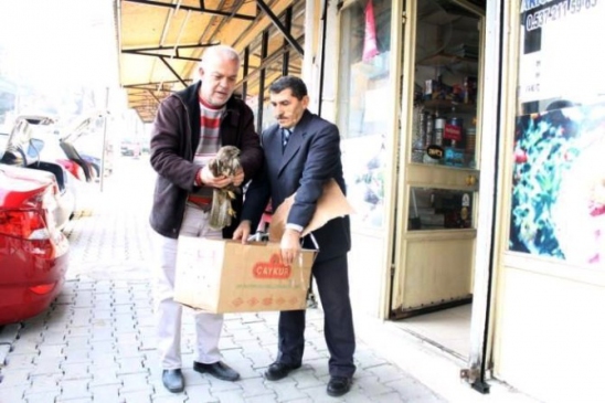 Yaralı Şahine Sahip Çıkıldı