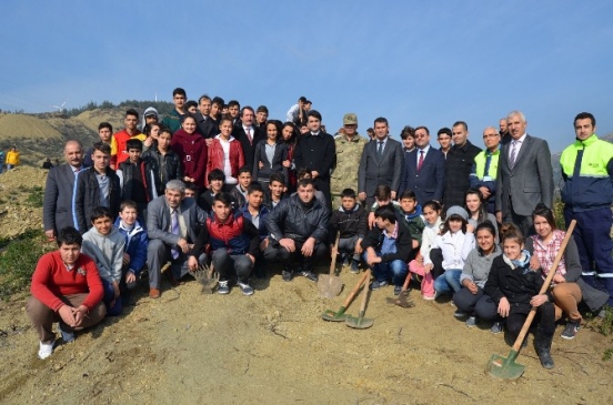 Yanan Orman Alanına Fidan Dikildi