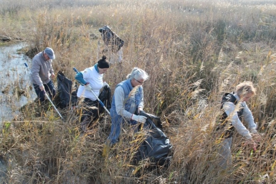 (Özel Haber)-Sahipsiz Kalan İztuzu Plajı'nı Halk Temizledi