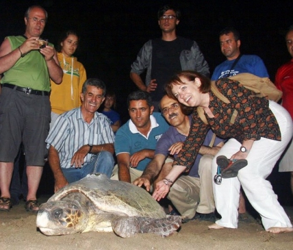 Caretta'lar İçin Geliyorlar