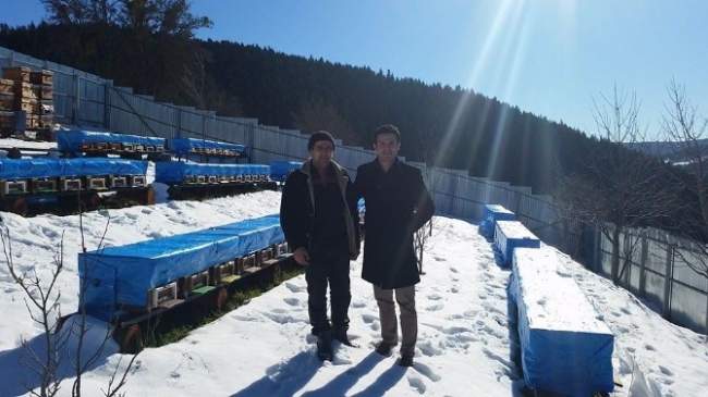 Küre Arısı İçin Büyük Atılım