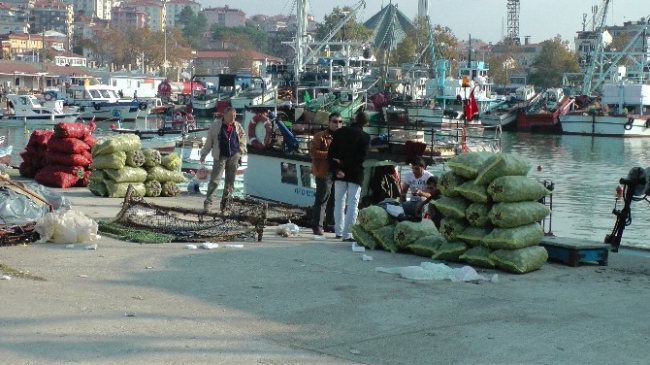 Batı Karadeniz'de Balıkçılar Dip Avcılığına Yöneldi