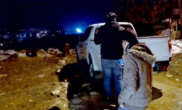 Tunceli'de Aç Kalan Yaban Domuzlarını Vatandaşlar Besliyor