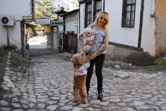 Kayıp Köpeği Bulan Tatil Kazanacak
