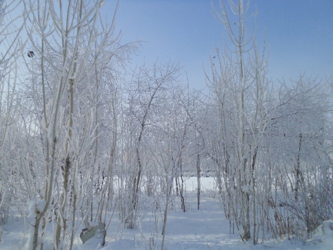 Varto'da Sibirya Soğukları
