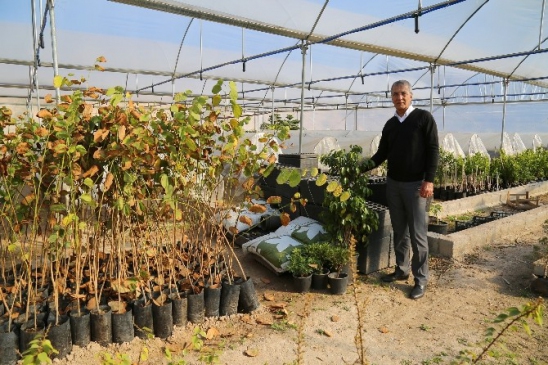 Mezitli Belediyesi'nin Yeni Fidanlığı Faaliyete Geçti