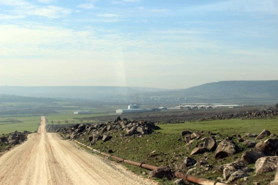 Deredeki Balıklar Ölüyor