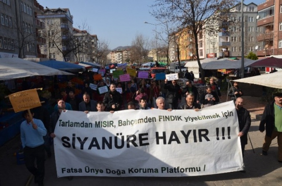 Fatsa'da Siyanüre Karşı Eylem Yapıldı